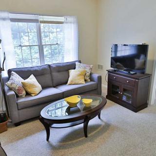 A cozy living room with a gray sofa, adorned with yellow and white cushions, facing a TV on a wooden stand. A glass-topped coffee table is placed in front of the sofa, with decorative bowls on top.