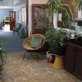 A cozy waiting area featuring a wicker chair, potted plants, and soft lighting.