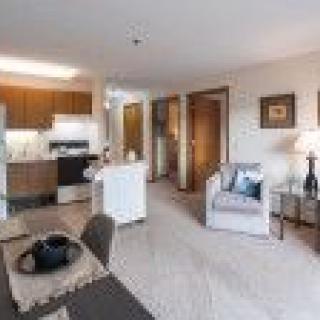 An open-concept apartment featuring a cozy living room and kitchen.