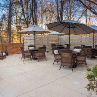 An outdoor patio area with tables, chairs, and umbrellas surrounded by trees.