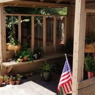 A cozy patio adorned with potted plants and an American flag.