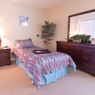 A cozy bedroom with a single bed, dresser, and potted plant.