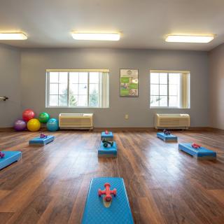 A serene yoga studio with exercise mats and fitness balls, ready for a workout session.