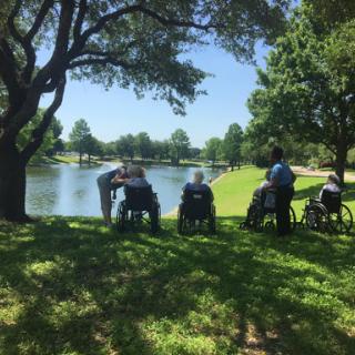 Individuals enjoying a peaceful day by the lake in a beautiful park.