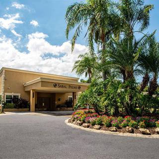 A hotel entrance surrounded by lush palm trees and colorful landscaping under a bright blue sky.