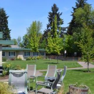 A sunny outdoor setting featuring a garden with lawn chairs surrounded by lush greenery and trees.