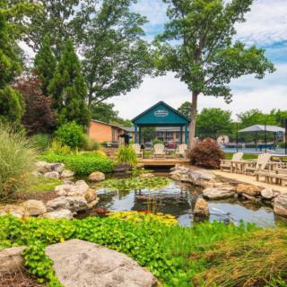 A tranquil garden scene with a pond surrounded by lush greenery and rocks, set under a clear sky.