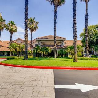 A suburban building surrounded by palm trees with a road leading to it.