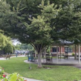 A peaceful park scene featuring a large tree, benches, and a pavilion.