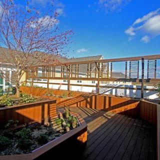A sunny rooftop garden with wooden decks and scenic views of the surrounding urban landscape.