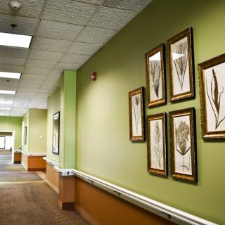 A well-lit hallway with framed botanical artwork and a carpeted floor.