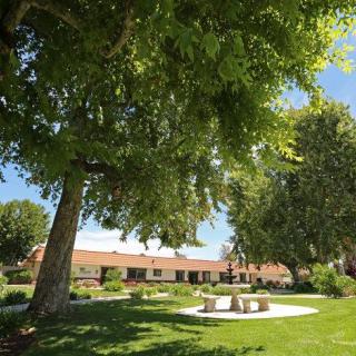 A peaceful park scene with lush green trees and a picnic area on a sunny day.