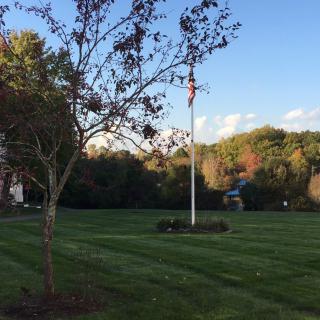 A peaceful suburban lawn featuring a flagpole and a tree under a clear blue sky.