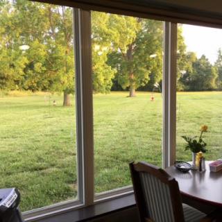 A serene view of a grassy field from a cozy indoor setting, basked in warm sunlight.