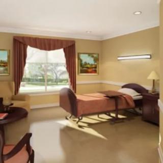 A well-lit bedroom with a hospital bed, window view, and decorated with paintings.