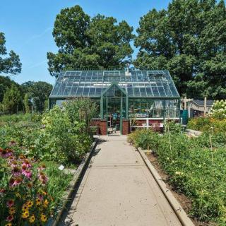 A charming greenhouse surrounded by a lush garden filled with various plants and flowers, under a clear blue sky.