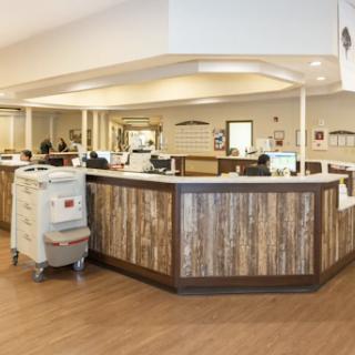 A modern healthcare reception area with wooden accents and a welcoming environment.