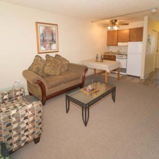 A cozy apartment living room with a sofa, armchair, glass coffee table, and an open kitchen area.