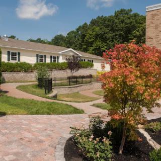 A serene garden area featuring landscaped paths and vibrant trees under a clear blue sky.