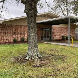 A view of a brick building entrance shaded by a large tree.