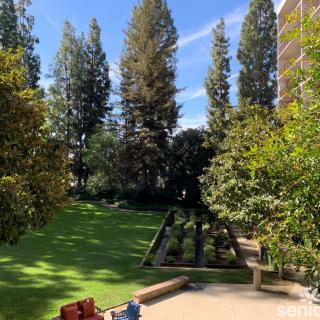 A serene garden with lush greenery and tall trees on a sunny day.