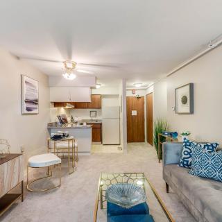 A cozy apartment with an open floor plan featuring a living room and adjacent kitchen area.