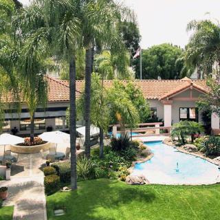 A serene hotel garden with a swimming pool surrounded by lush palm trees and greenery.