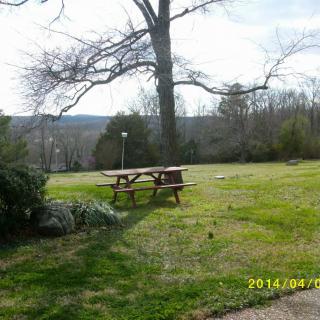 A peaceful park scene with a picnic table under a large tree.