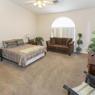 A spacious bedroom featuring a bed, sofa, and potted plants under a large window.