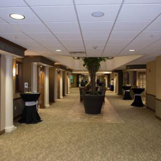Spacious hotel lobby with carpeted floors and indoor plants.