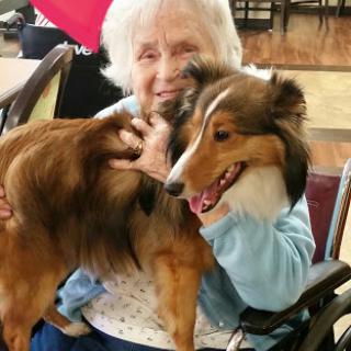 A joyful moment shared between an elderly woman and her friendly collie.