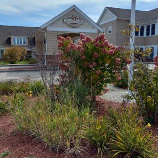 A view of a well-maintained garden in front of a modern residential building.