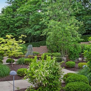 A beautifully landscaped garden with pathways and lush greenery.