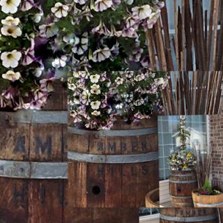 A beautiful arrangement of flowers in rustic barrels, blending nature with a charming wooden aesthetic.