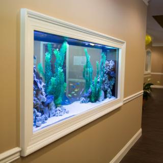 A beautifully designed wall-mounted aquarium, bringing a touch of marine life to the interior space.