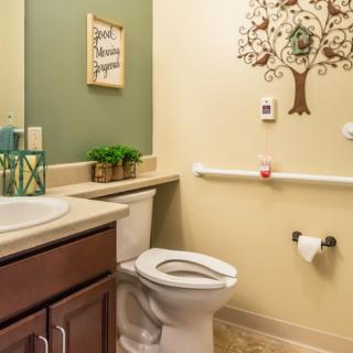 A well-decorated bathroom featuring a toilet, sink, and wall art, with a safety rail installed next to the toilet.