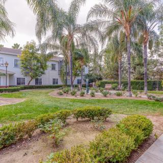 A scenic garden with palm trees, surrounded by a pathway and buildings.