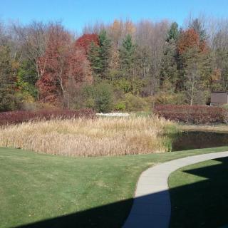 A serene autumn landscape with colorful trees, a grassy field, and a winding pathway leading to a pond.