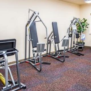 A gym with various exercise machines lined up against the wall.