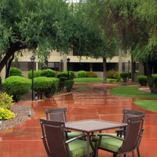 A serene outdoor patio area with a wet pathway, surrounded by lush trees and bushes.