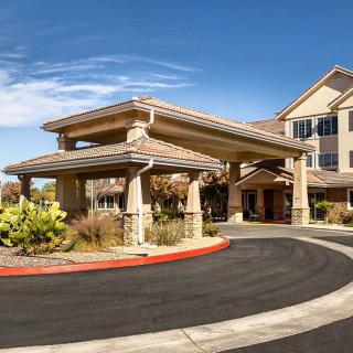 A well-maintained building entrance with a landscaped driveway under a clear blue sky.
