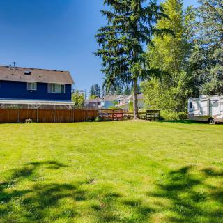 A sunny backyard with green grass, surrounded by a wooden fence and trees.