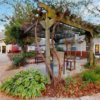 A serene garden area featuring a wooden pergola adorned with climbing plants, surrounded by lush greenery.