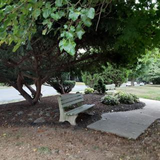 A peaceful park scene featuring a bench nestled under a large tree, perfect for relaxation.
