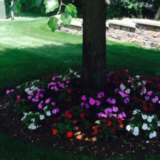 Pine Hill Retirement Home