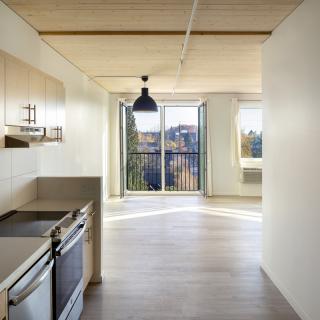 A modern apartment kitchen with ample natural light and wooden accents.