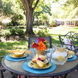 A beautifully set outdoor table in a sunny backyard garden.