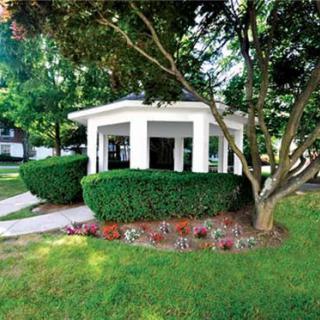 A charming white gazebo surrounded by lush greenery and manicured shrubs.