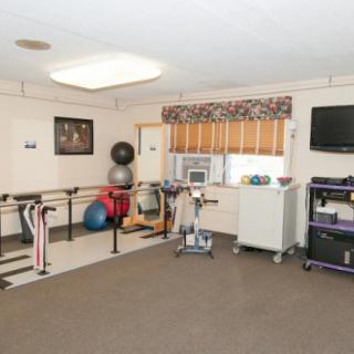 A rehabilitation room equipped with parallel bars, therapy balls, and a television.