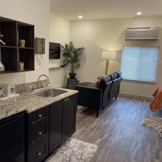 A modern open-concept kitchen and living area with sleek furnishings and decor.